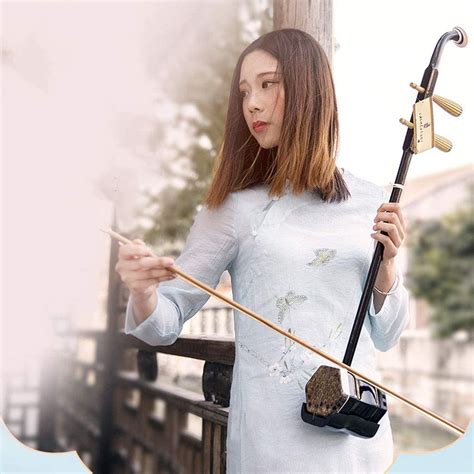 erhu-instruments-chinois-huqin-national-instrument-de-musique-national-débutant-cordage-avec