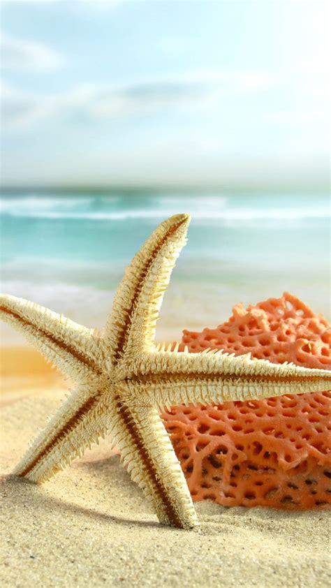 Starfish Wallpapers High Quality Download Free