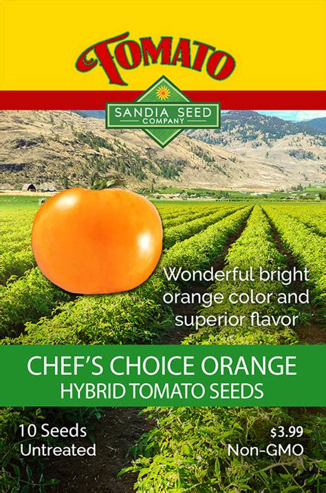Tomato Chefs Choice Orange F1 Seeds Sandia Seed Company