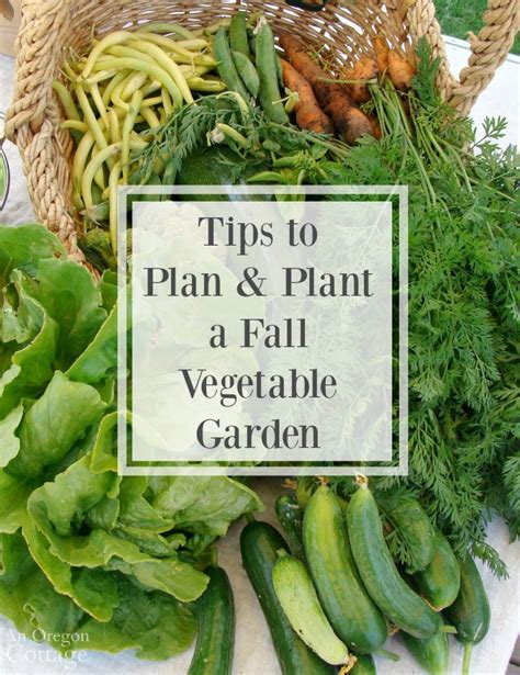 Tips To Plan And Plant A Fall Vegetable Garden An Oregon Cottage