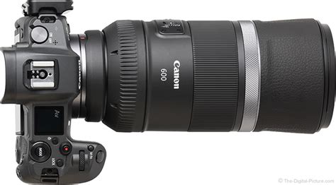 Canon Rf 600mm F11 Is Stm Lens Review