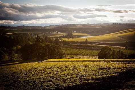 7 Beautiful Vineyard Views In The Willamette Valley Travel Oregon