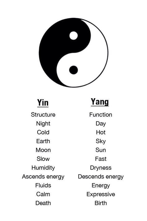 Differences Between Yin And Yang Things To Do Things To Know