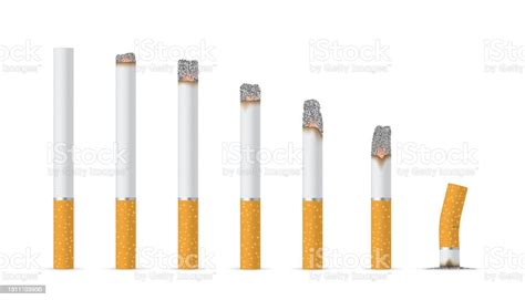 Collection Of Smoldering Cigarettes Various Length Vector Fired Cigar