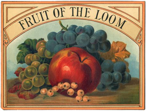An object, person or process that is standard/basic as fuck. Fruit of the Loom | Logopedia | Fandom powered by Wikia