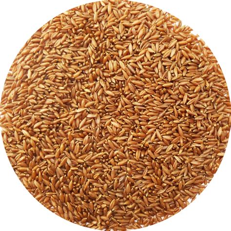 brown rice glycemic index glycemic load and nutrition