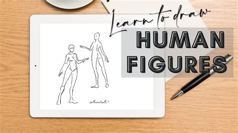 Learn How To Draw Anatomy For Complete Beginners Gesture Drawing Step