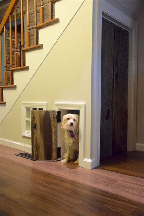 A Dog Is Standing In The Doorway To His New Home Under The Stairs And
