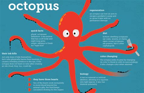 Octopus Fun Facts Marine Biology Infographic