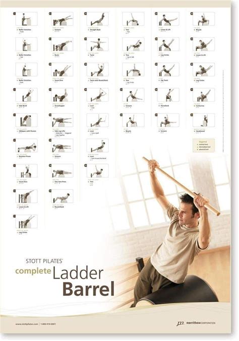 Amazon Com Stott Pilates Wall Chart Complete Arc Barrel Fitness Charts And Planners