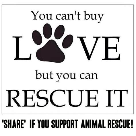 Support Animal Resuce Rescue Animal Rescue Animal Quotes