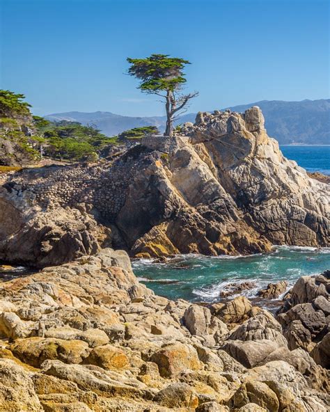 20 Essential Pacific Coast Highway Stops San Francisco To Big Sur Well Planned Journey