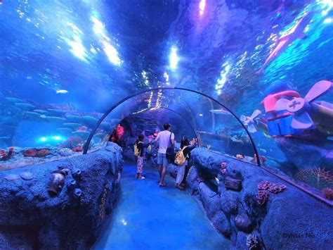 Is It Worth Taking The Kids To Sea Life At Legoland Malaysia