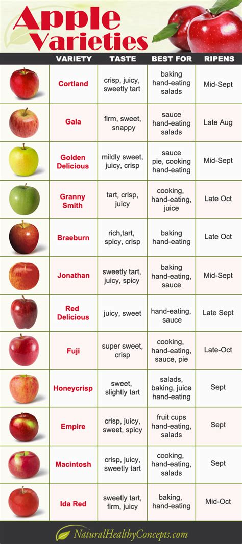 Delicious Ways To Enjoy Apples This Fall Healthy Concepts With A Nutrition Bias Cooking