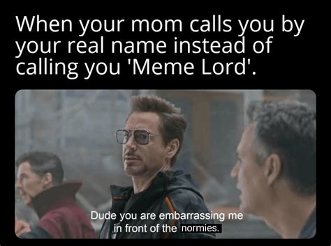 Daily Suffering of Meme Lords : r/memes