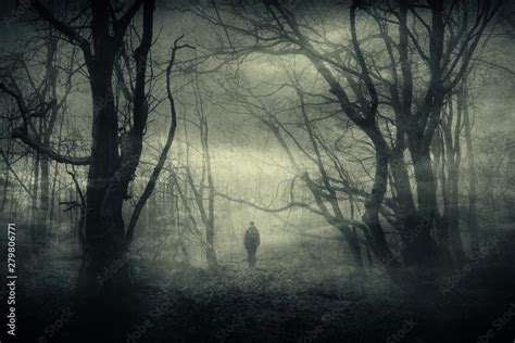 Horror Forest Landscape Surreal Haunted Woods With Scary Silhouette At