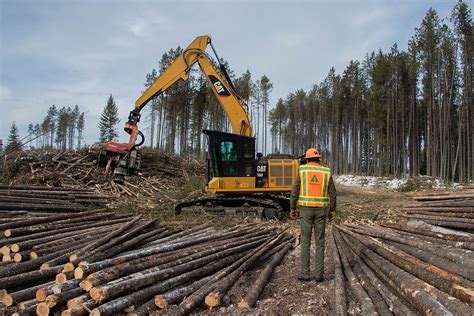 Timber Management Project Aims To Mimic Natural Process Daily Inter Lake