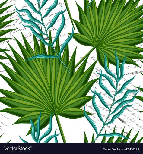 Leaves Palm Trees Royalty Free Vector Image Vectorstock