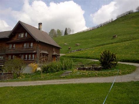 Wohnungen mietwohnungen eigentumswohnungen haus mieten haus kaufen grundstücke Hof Unterstein,