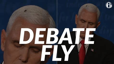 fly lands on mike pence s head during vice presidential debate youtube