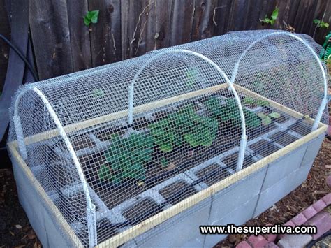 12 raised garden beds made with cinder blocks. How to Build A Raised Bed Garden Out Of Cinder Blocks ...