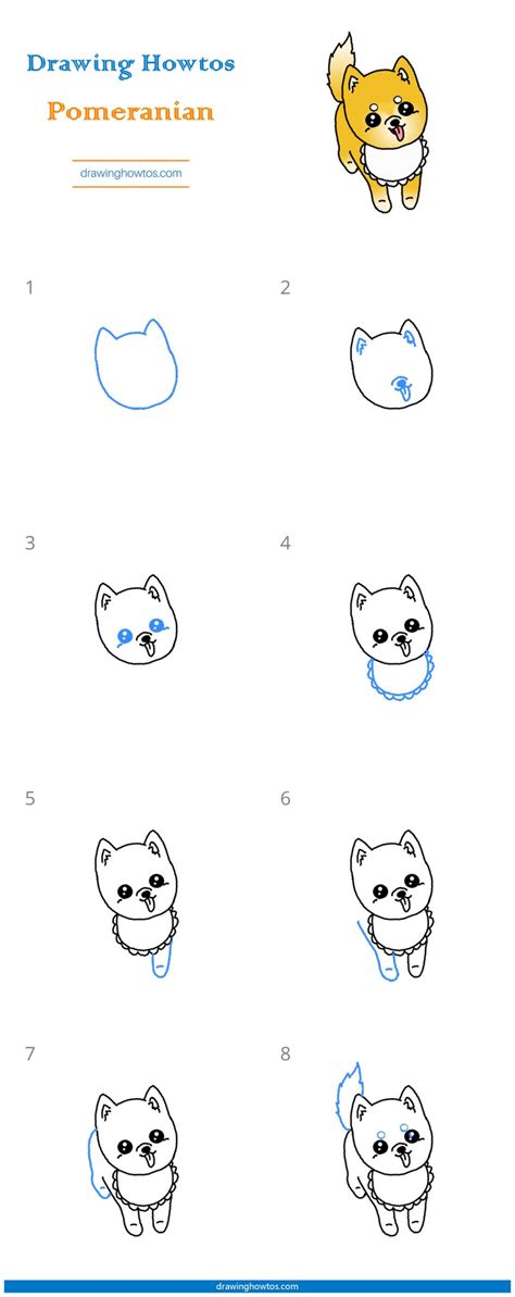 How To Draw A Pomeranian Really Easy Drawing Tutorial Drawing Images