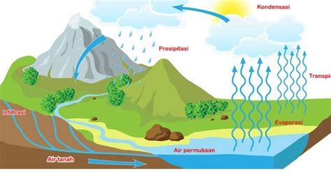 Siklus Air Terlengkap