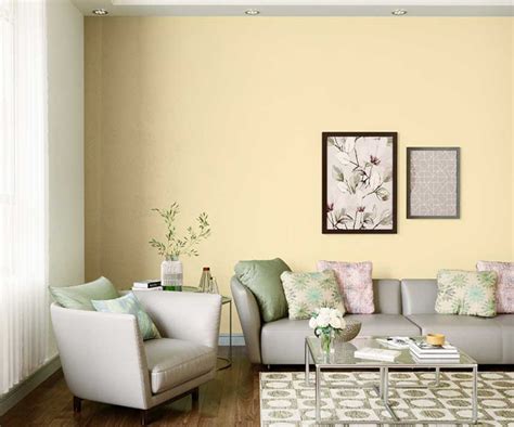 Try Sundrenched House Paint Colour Shades For Walls Asian Paints