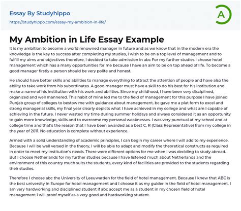My Ambition In Life Essay Example