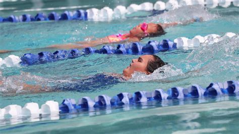 Strong Performances At Ashmont Public School Swimming Carnival The