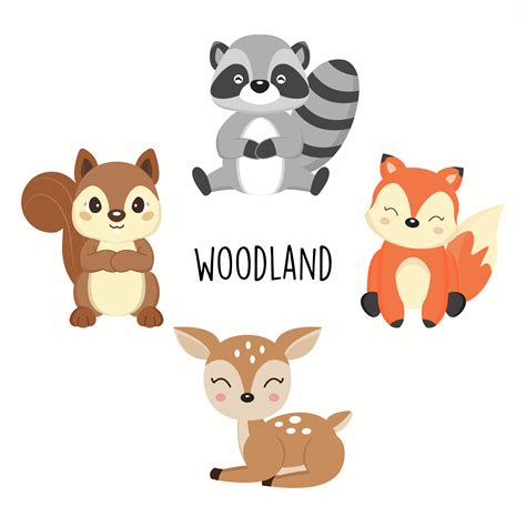 Cute Woodland Animals Foxesraccoonssquirrels Cartoon