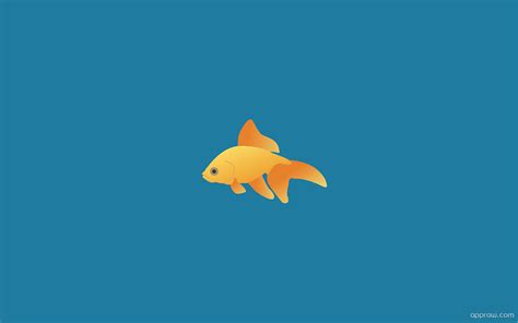 Simple Fish Wallpaper Download Minimalism Hd Wallpaper Appraw