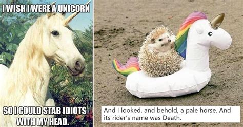 25 Random Unicorn Memes That Might Make Your Day A Little More Magical