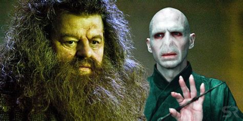 Гарри поттер и философский камень. Harry Potter Theory: Hagrid Was Voldemort's Secret Death Eater