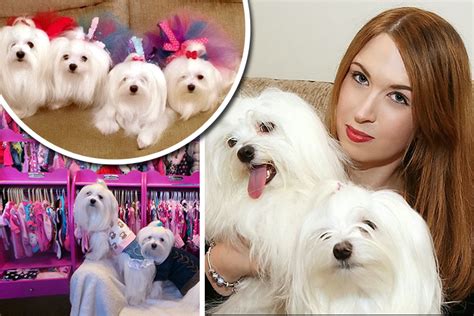 Scots Dog Lover Has Spent Thousands Of Pounds Spoiling Her Seven