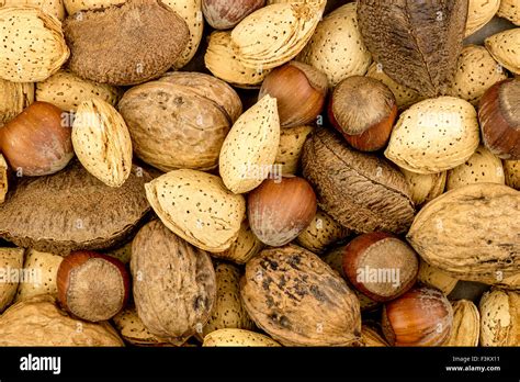 Almond Texture Hi Res Stock Photography And Images Alamy