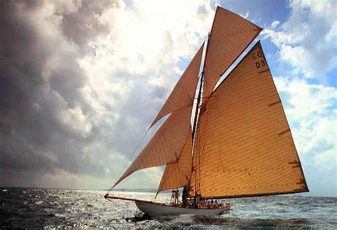 Remo é um desporto de velocidade, praticado em embarcações estreitas, nas quais os atletas se sentam sobre barcos móveis, de costas voltadas para a proa, usando os braços, tronco e pernas para mover o barco o mais depressa possível, em geral em lagoas, rios, enseadas ou pistas construídas especialmente para a prática da modalidade, mas por vezes também no mar. Mudança do vento requer ajuste das velas