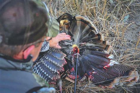 how to kill a turkey with a bow