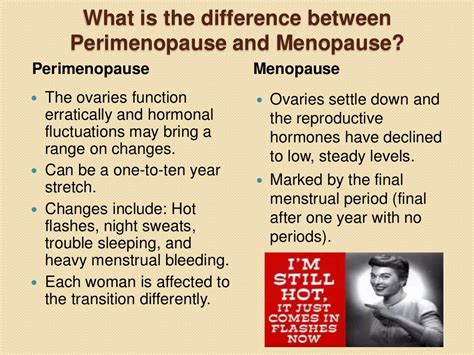 Chapter 20 Perimenopause And Menopause