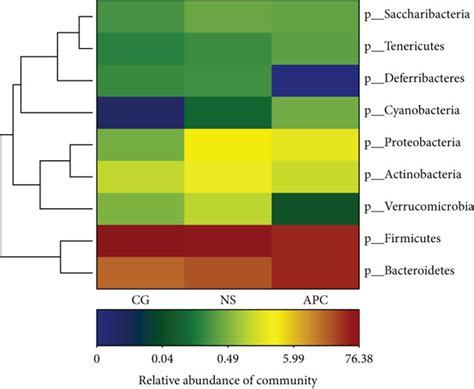 Heat Map Of Bacterial Abundance In The Three Groups Download Scientific Diagram