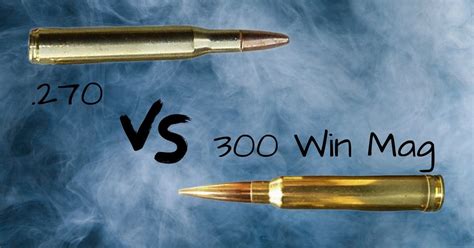270 Vs 300 Win Mag Which Is Better