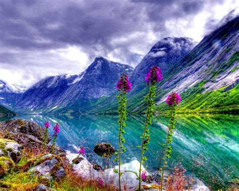 Natural Landscape River Valley Flowers Sky Mountain Picture For Desktop