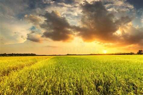 Green Field And Sunset With Cloud At Agriculture Countryside Stock