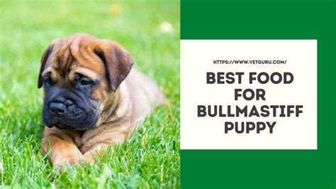 The 50 best food & cooking blogs ranked algorithmically every 24 hours ().updated june 24th, 2021. Best Food for Bullmastiff Puppy of 2021