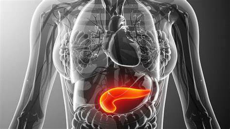 Панкреатит лечение и диета таблетки Панкреатит: симптомы и лечение у взрослых. Воспаление поджелудки. Панкреатит: симптомы и лечение у взрослых. Воспаление поджелудки. Панкреатит лечение и диета таблетки