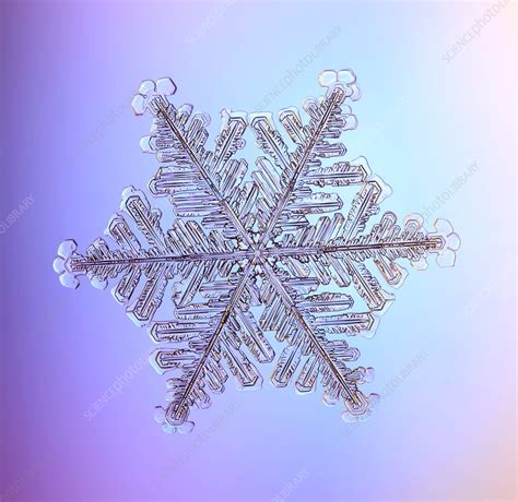 Snowflake Stock Image C0174254 Science Photo Library