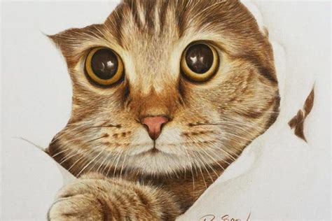 Apprenez à dessiner un chaton kawaii de manière simple. dessin de chat facile realiste - Les dessins et coloriage