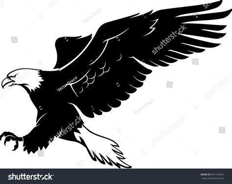 13787 Eagle Landing Images Stock Photos And Vectors Shutterstock