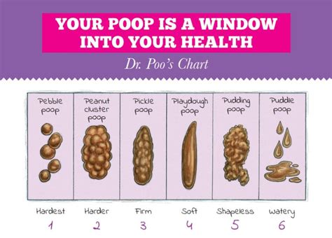 Baby Poop Colors Chart And Pictures Whats Normal Love Our Littles Why