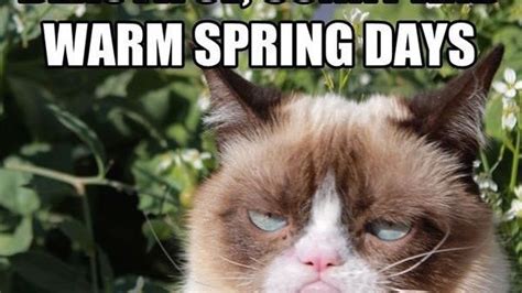 15 Funny Spring Memes To Get You Through These Chilly Spring Days